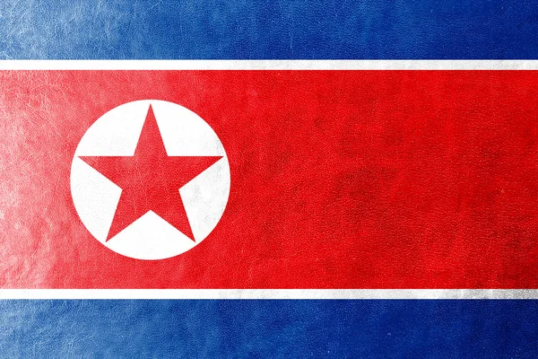Severní korea vlajka na kožené textury — Stock fotografie