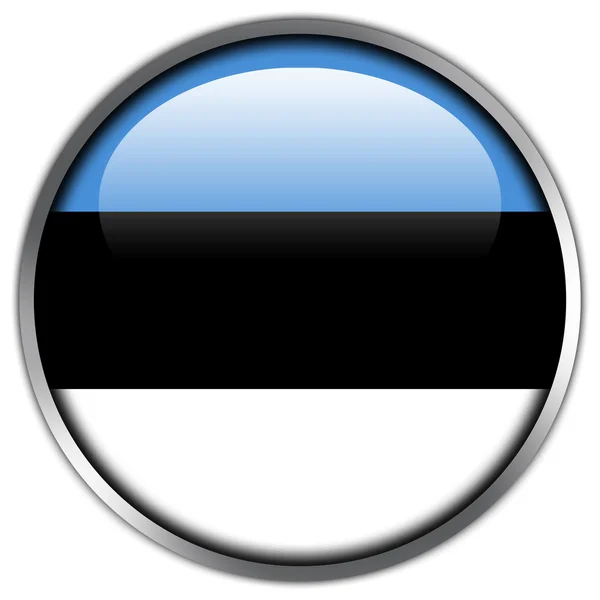 爱沙尼亚国旗光泽按钮 — 图库照片