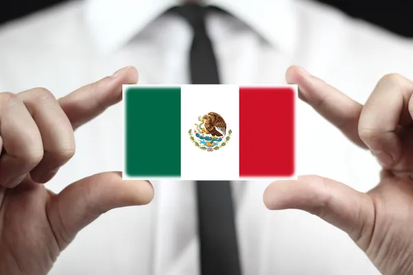 Mexique Drapeau — Photo