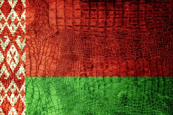 Fehéroroszország zászló — Stock Fotó