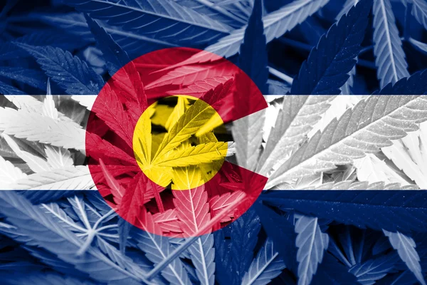 Bandera de Colorado sobre fondo de cannabis — Foto de Stock