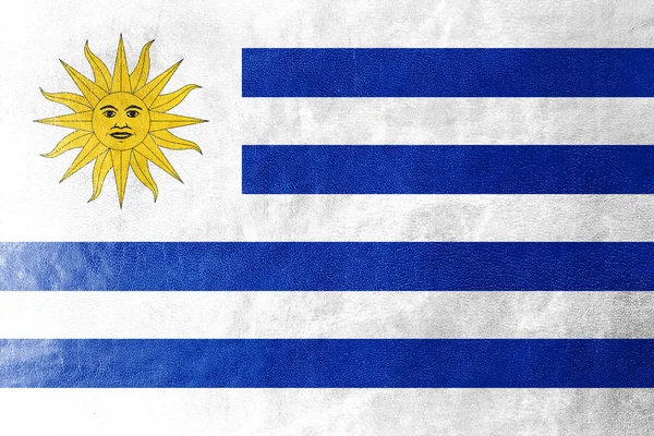 Uruguay Bandiera dipinta su texture in pelle — Foto Stock