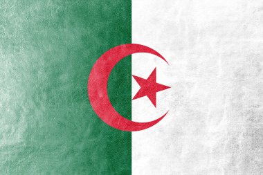 Cezayir bayrağı deri dokusu üzerinde boyalı
