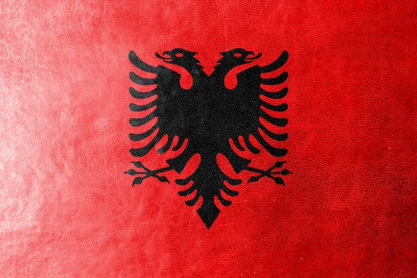 Albanien Flagge auf Leder Textur gemalt — Stockfoto