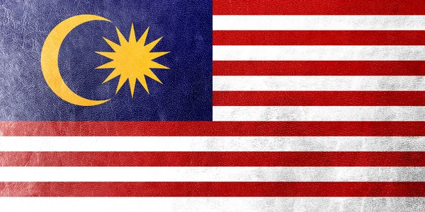 Malaysia flaggan målad på läder texture — Stockfoto