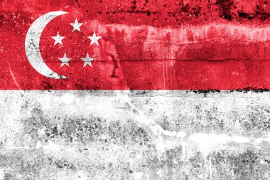 Grunge duvara boyalı Singapur bayrağı