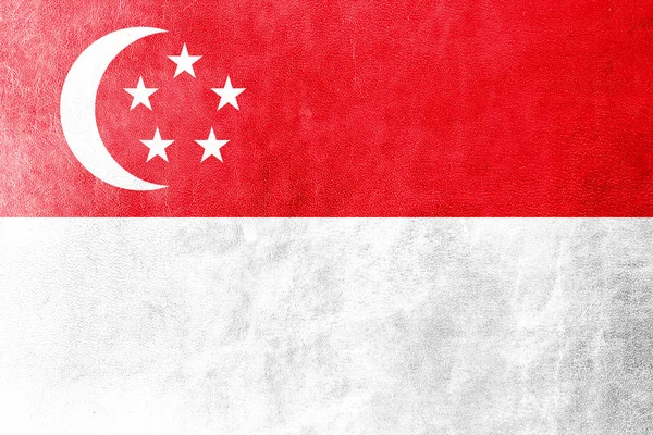 Bandeira de Singapura pintada sobre textura de couro — Fotografia de Stock