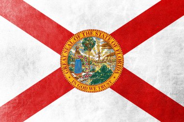 deri dokusu üzerinde Florida bayrak boyalı