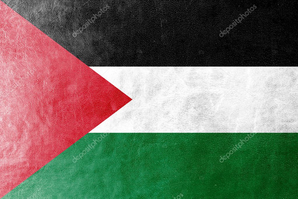 Palestine Flag painted on leather texture