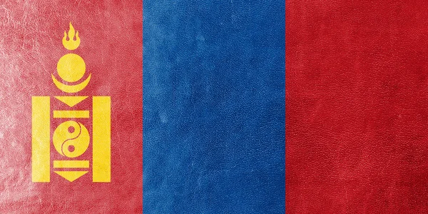 Mongolia Bandiera dipinta su texture in pelle — Foto Stock
