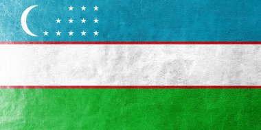 deri dokusu üzerinde boyalı Özbekistan bayrağı