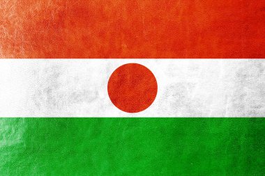 deri dokusu üzerinde boyalı Nijer bayrağı