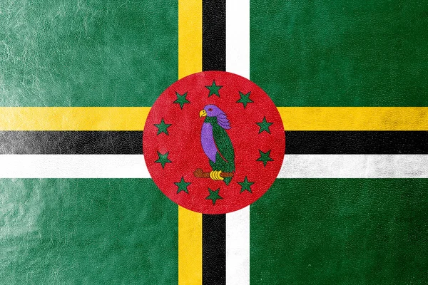 Dominica Bandeira pintada sobre textura de couro — Fotografia de Stock