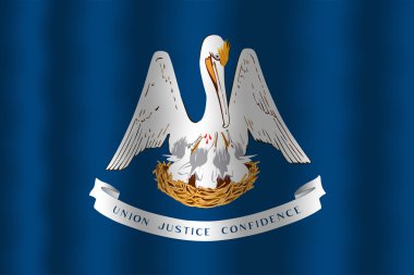 Louisiana Devlet bayrağı sallayarak