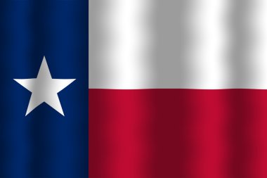 Texas devlet bayrağı sallayarak