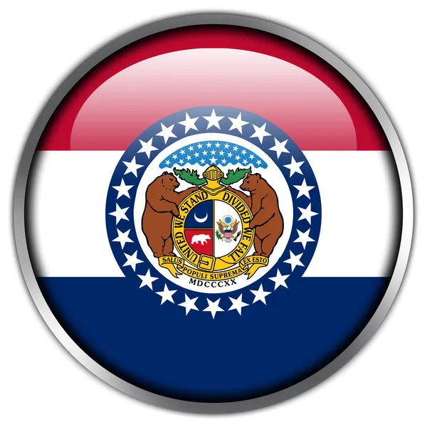 Hochglanz-Knopf der Flagge des Bundesstaates Missouri — Stockfoto