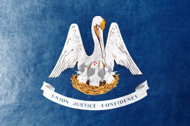 deri dokusu üzerinde boyalı louisiana Devlet bayrağı