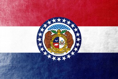 Missouri Devlet bayrağı deri dokusu üzerinde boyalı