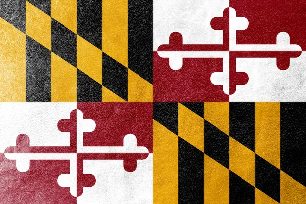 Bandeira do Estado de Maryland pintada sobre textura de couro — Fotografia de Stock