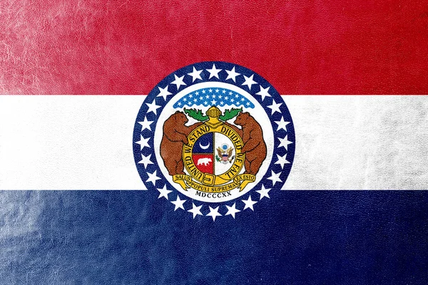 Flagge des Bundesstaates Missouri auf Lederstruktur gemalt — Stockfoto