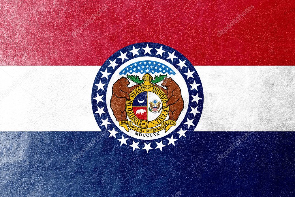 Missouri State Flag painted on leather texture