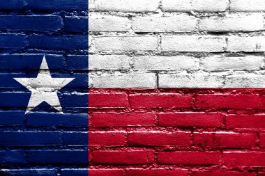 Texas devlet bayrağı tuğla duvara boyalı