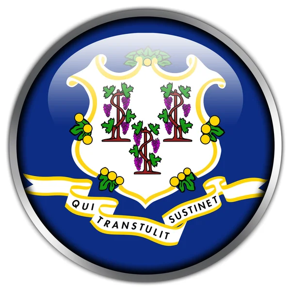 Connecticut State Flag glossy button — Stock Photo, Image