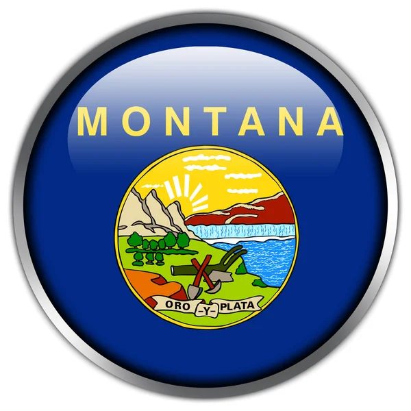 モンタナの状態フラグの光沢のあるボタン — ストック写真