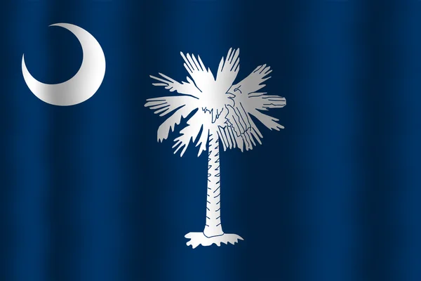 Schwenkt die Staatsflagge des Bundesstaates South Carolina — Stockfoto