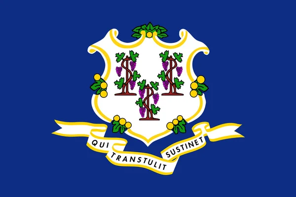 Connecticut State Flag — Stock Photo, Image