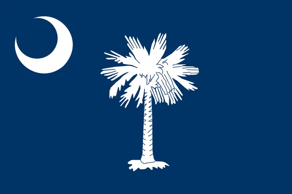 South Carolina State Flag — Stock Photo, Image