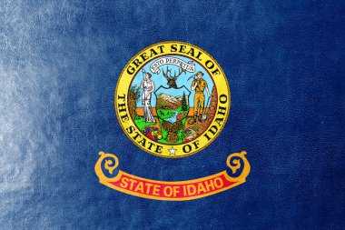deri dokusu üzerinde boyalı Idaho Eyalet bayrağı