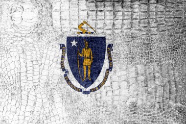 Massachusetts eyalet bayrağı lüks timsah doku üzerinde boyalı