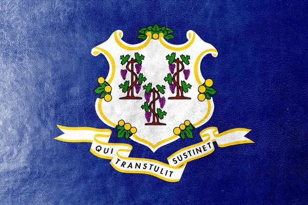 Vlag van Connecticut geschilderd op leder texture — Stockfoto