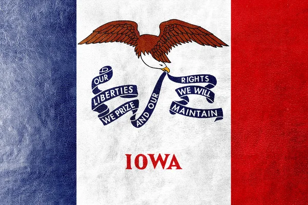 爱荷华州州旗在皮革纹理上绘制 — 图库照片