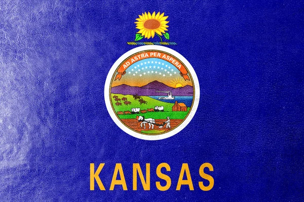 Kansas State Bandiera dipinta su texture in pelle — Foto Stock