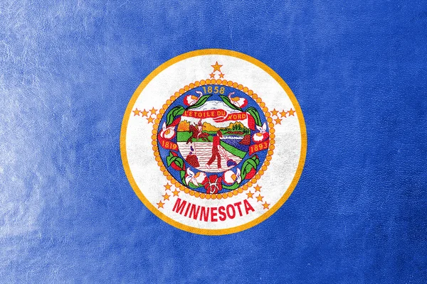 Minnesota Bandera del Estado pintado en textura de cuero — Foto de Stock