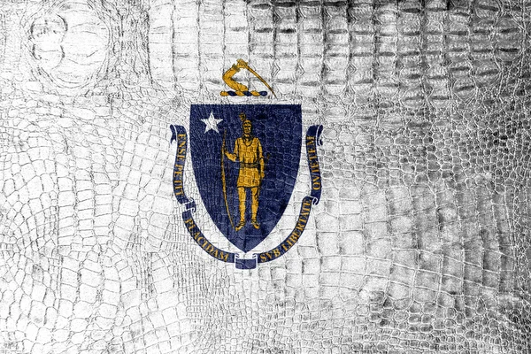 美国马萨诸塞州州旗画上豪华鳄鱼纹理 — 图库照片