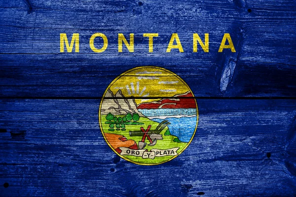 Montana State Flag painted on old wood plank texture — Stock Photo, Image