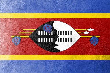 deri dokusu üzerinde boyalı Svaziland bayrağı