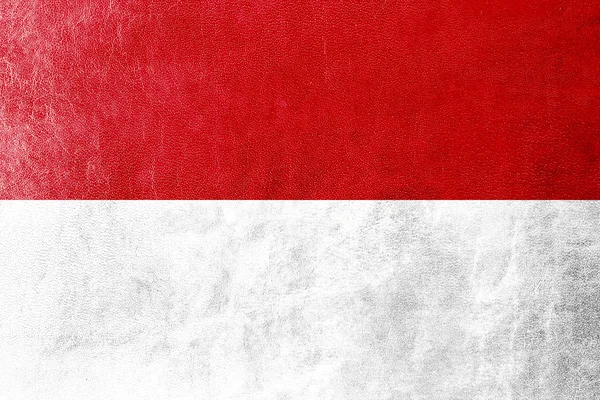 Bandera de Indonesia pintada sobre textura de cuero — Foto de Stock