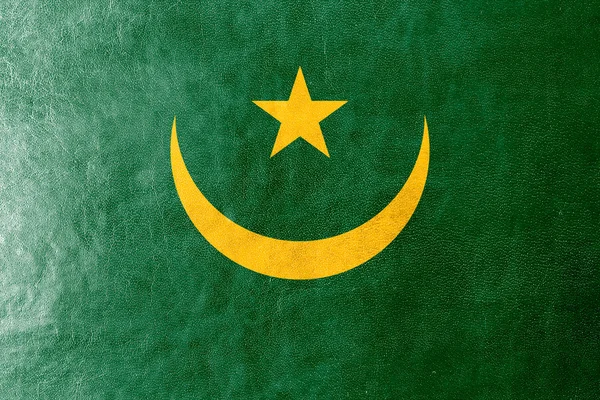 毛里塔尼亚国旗画在皮革纹理 — 图库照片