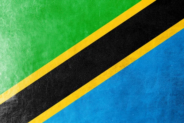 Bandera de Tanzania pintada sobre textura de cuero — Foto de Stock