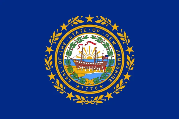 Флаг штата Нью-Гэмпшир — стоковое фото