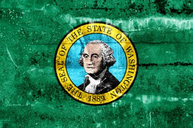 Washington Devlet bayrağı grunge duvara boyalı