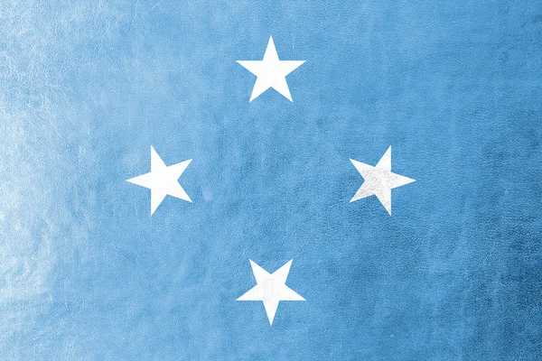 Deri dokusu üzerinde boyalı Mikronezya bayrağı — Stok fotoğraf