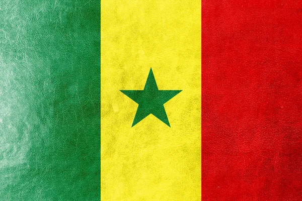 Senegal Bandiera dipinta su texture in pelle — Foto Stock