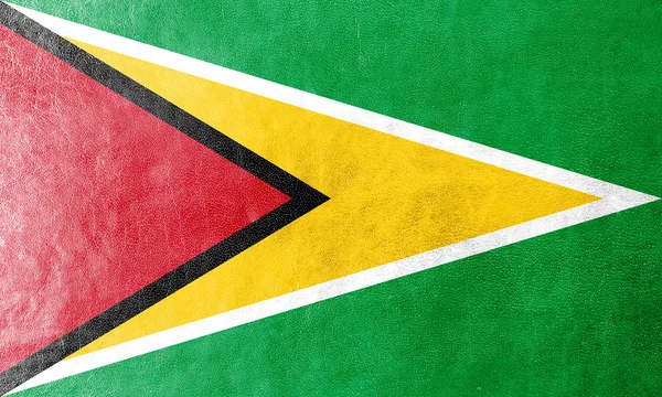 Guyana Flag painted on leather texture — Stock Photo, Image