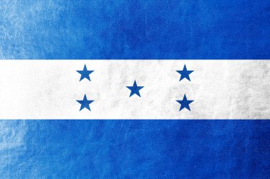deri dokusu üzerinde boyalı honduras bayrağı