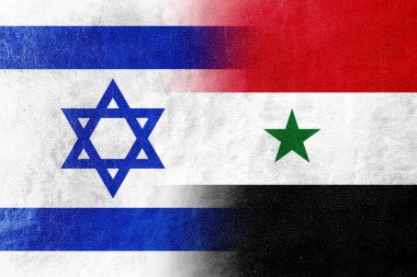 İsrail ve Suriye bayrağı deri dokusu üzerinde boyalı